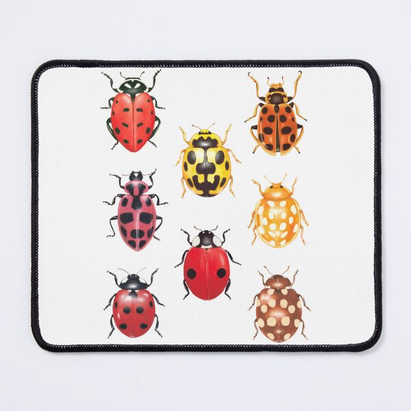 Item preview, Ladybug species designed and sold by Lene Myhre.