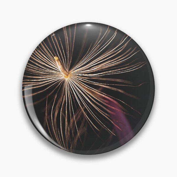 Item preview, Gerbera seed photography designed and sold by CiaoBellaJenny.