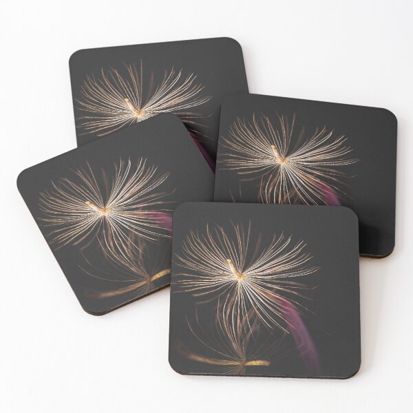 Item preview, Gerbera seed photography designed and sold by CiaoBellaJenny.
