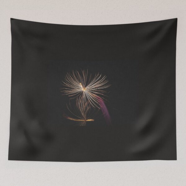 Item preview, Gerbera seed photography designed and sold by CiaoBellaJenny.