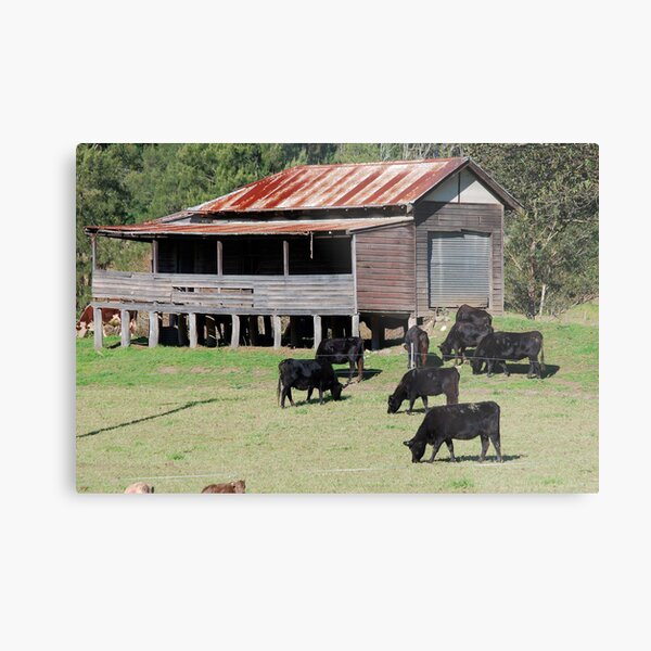 Bliss on the Paterson River Metal Print