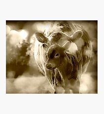 new Photographic Print
