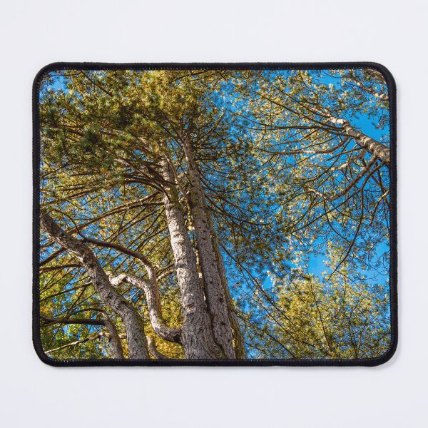 Item preview, Towering Pines designed and sold by Dalyndigital Photography.