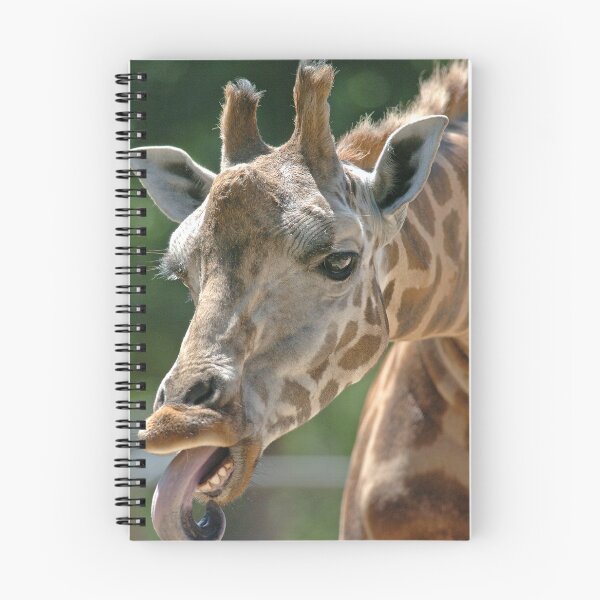 Item preview, Giraffe with tongue poking out designed and sold by quentinjlang.