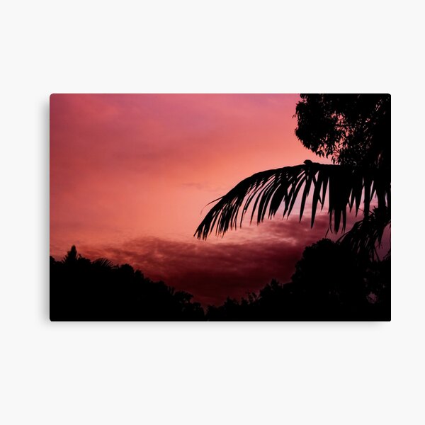Colour of Pink Canvas Print