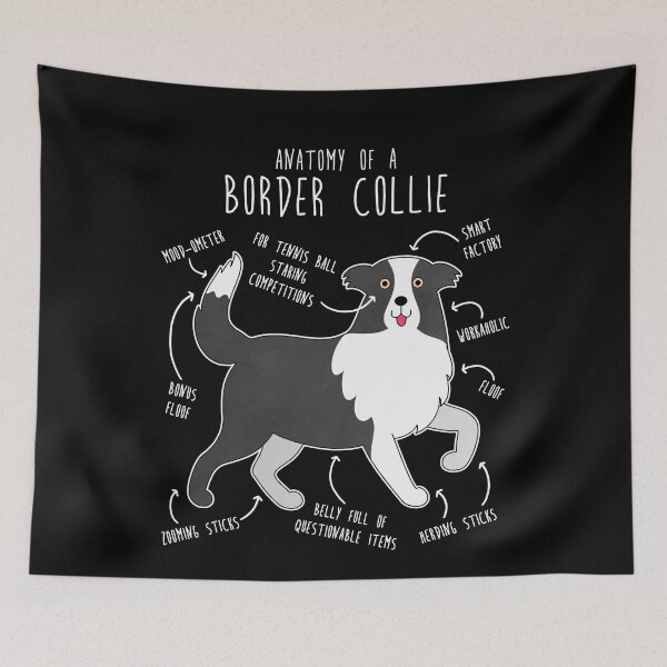 Item preview, Anatomía del perro Border Collie designed and sold by Clara Hollins.