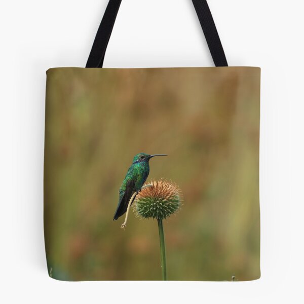 Item preview, Hummingbird on a Dried Flower designed and sold by rhamm.