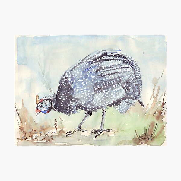 Listen to the Guinea Fowl Photographic Print