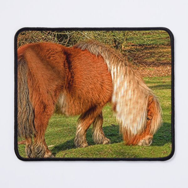 Item preview, Shetland Pony designed and sold by Dalyndigital Photography.