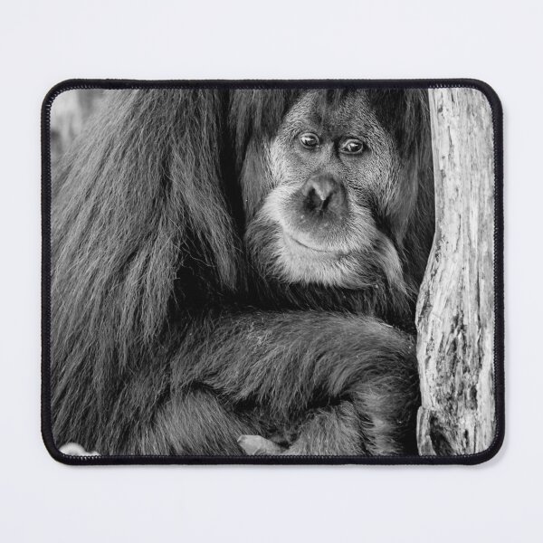 Item preview, The Thinker designed and sold by James Millward.