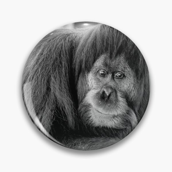 Item preview, The Thinker designed and sold by James Millward.
