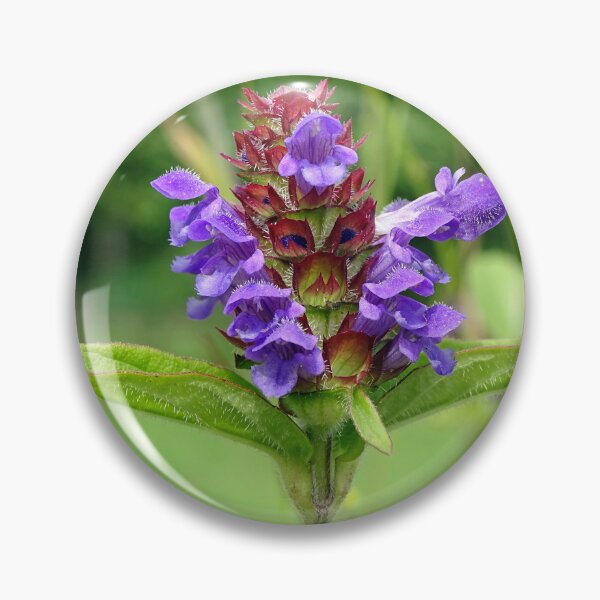 Item preview, Self Heal - Prunella Vulgaris designed and sold by Barrie Woodward.