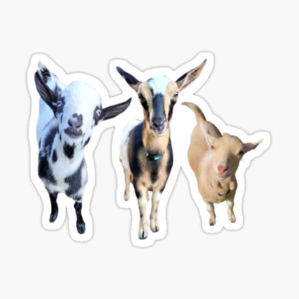 Item preview, Goat Trio designed and sold by snickles1977.