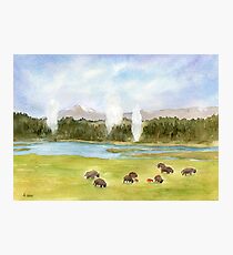 Yellowstone National Park Photographic Print