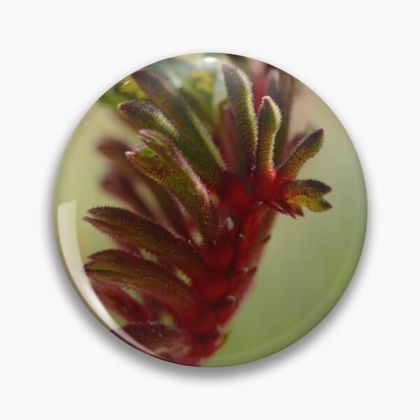 Item preview, Flowering Beauty - Kangaroo Paw designed and sold by imaginethis.