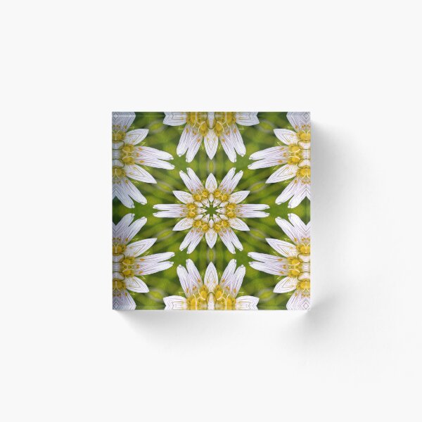 Item preview, Stella Flower Pattern designed and sold by Patternflower.