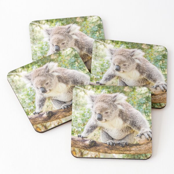 Item preview, Koala designed and sold by James Millward.