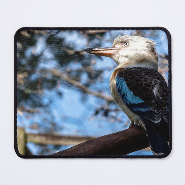 Item preview, Blue Winged Kookaburra designed and sold by James Millward.