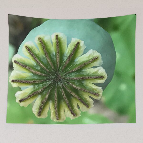 Item preview, Poppy Seed Head designed and sold by Marylou Badeaux.