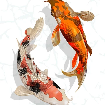 Artwork thumbnail, Japanese Koi Fish by sofiatheof