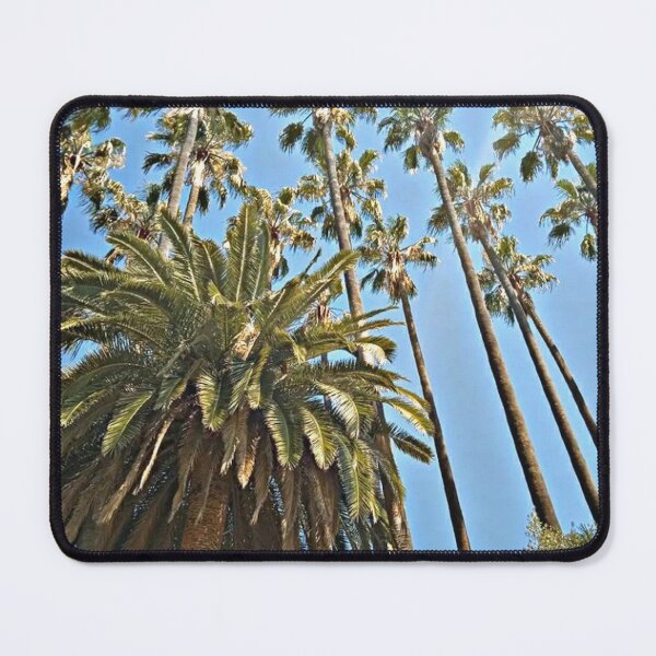 Item preview, date palm tree Phoenix dactylifera. designed and sold by Shubatdesigns.