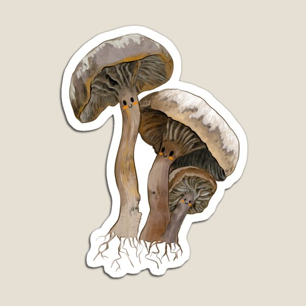 Cute Mushrooms Magnet