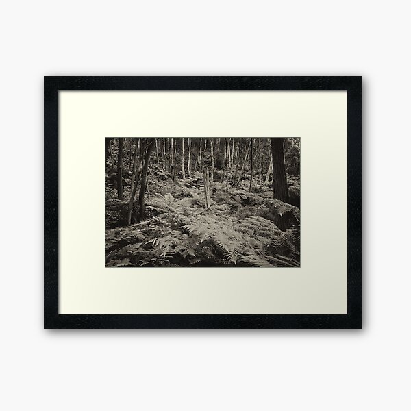 Item preview, Fern Gully Revisited mono designed and sold by Geoff Smith.