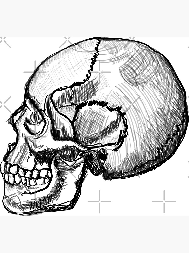 "Human skull side view sketch art | Human skull SKETCH ART T-SHIRT