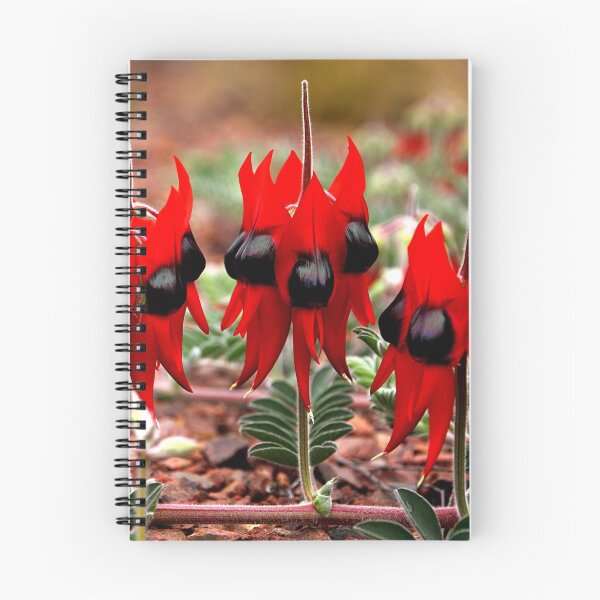 Item preview, Spring in the Outback: Sturt's Desert Pea  designed and sold by Carole-Anne.