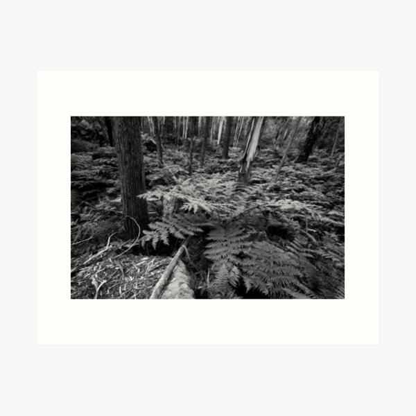 Item preview, Fern Gully mono designed and sold by Geoff Smith.