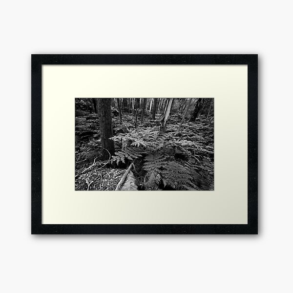 Item preview, Fern Gully mono designed and sold by Geoff Smith.