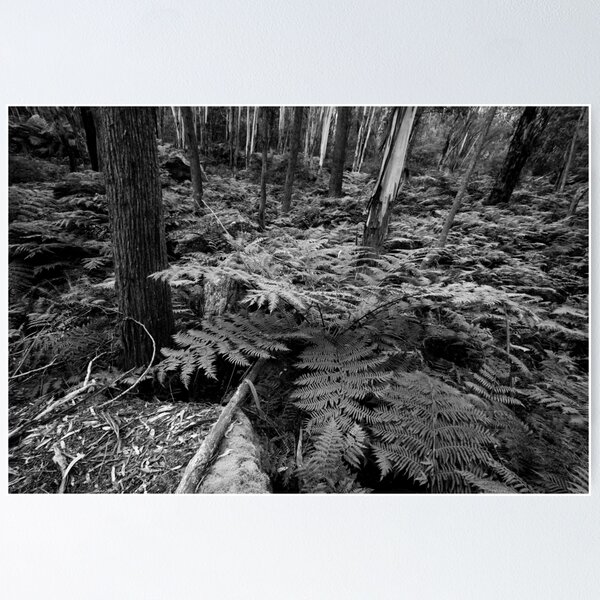 Item preview, Fern Gully mono designed and sold by Geoff Smith.