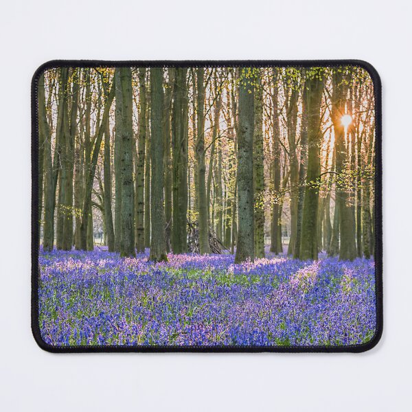 Item preview, Sunlit Bluebell Wood    designed and sold by Jim Key.