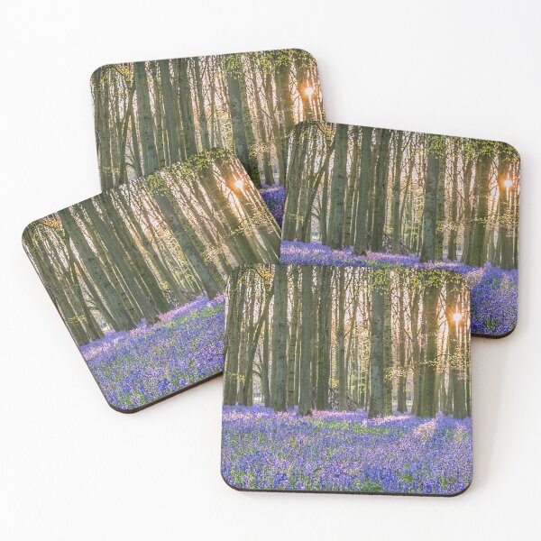 Item preview, Sunlit Bluebell Wood    designed and sold by Jim Key.