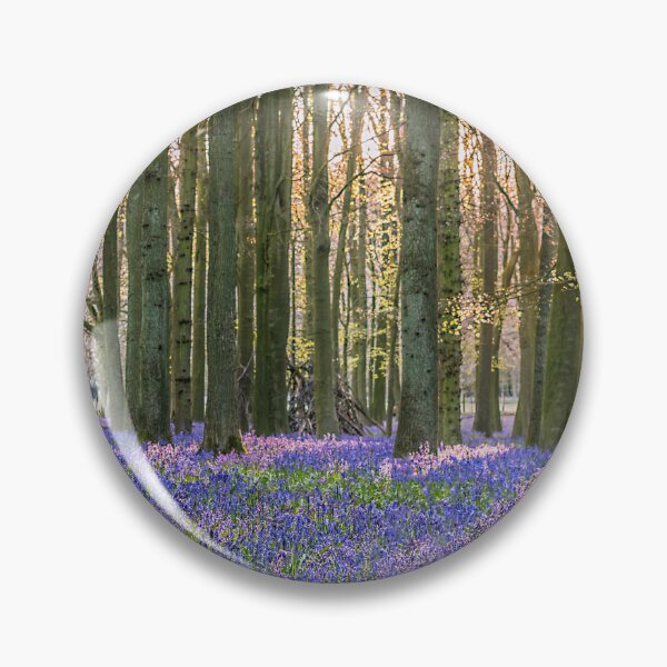 Item preview, Sunlit Bluebell Wood    designed and sold by Jim Key.