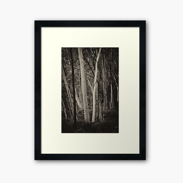 Vista previa del artículo con la obra «Blue Mountains Ash en mono», diseñado y vendido por Geoff Smith.