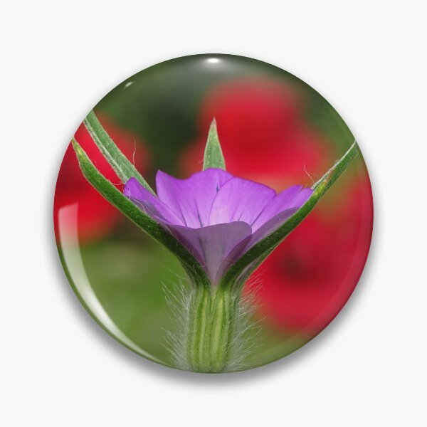 Item preview, Corncockle in the Poppies designed and sold by Barrie Woodward.