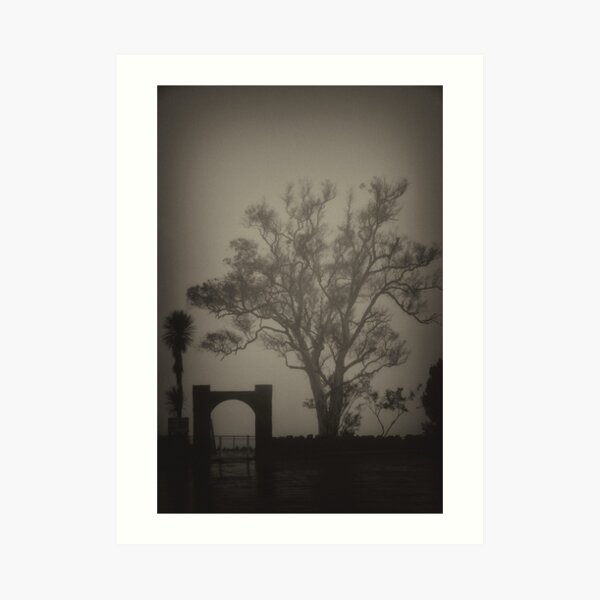 Misted Out Art Print