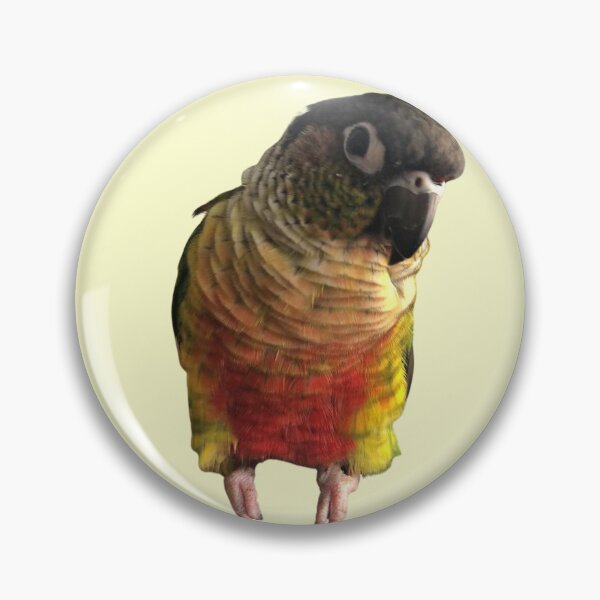 Item preview, Green Cheek Conure design | Conure | Small Parrot | Parakeet | Parrot lover designed and sold by TatianaLG.