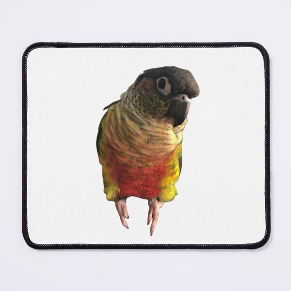 Item preview, Green Cheek Conure design | Conure | Small Parrot | Parakeet | Parrot lover designed and sold by TatianaLG.