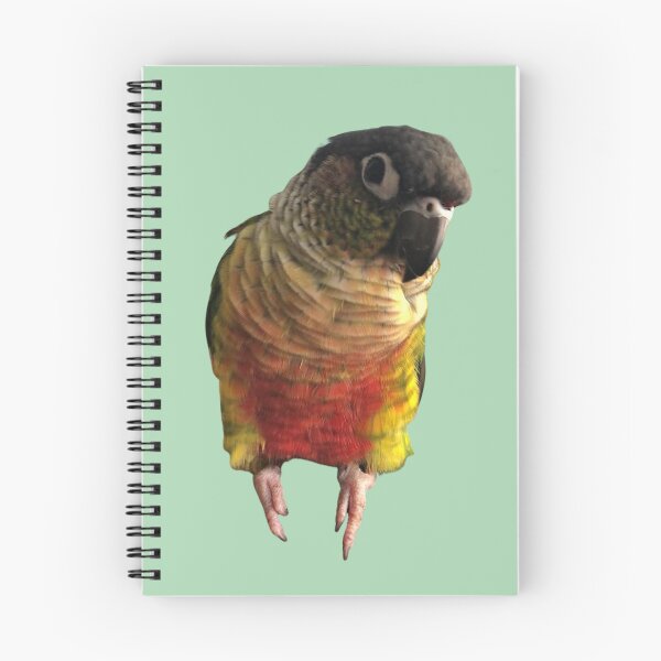 Item preview, Green Cheek Conure design | Conure | Small Parrot | Parakeet | Parrot lover designed and sold by TatianaLG.