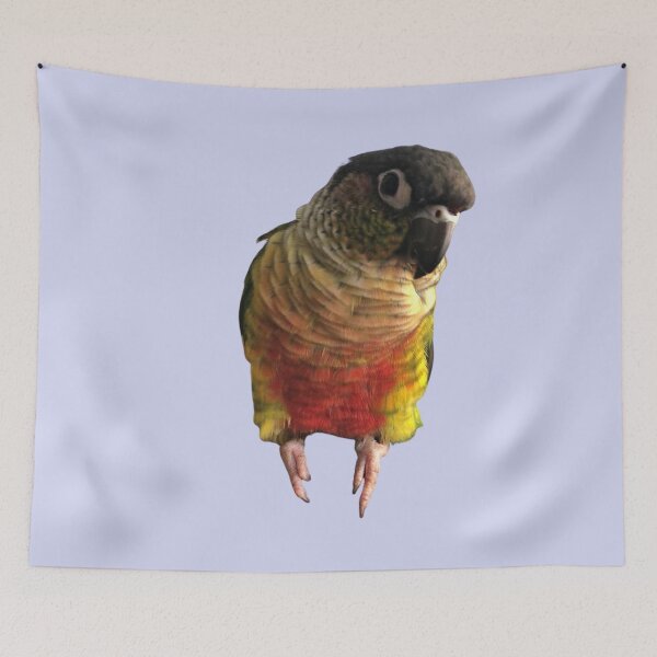 Item preview, Green Cheek Conure design | Conure | Small Parrot | Parakeet | Parrot lover designed and sold by TatianaLG.