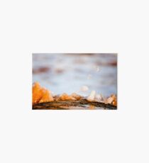 Drops Art Board