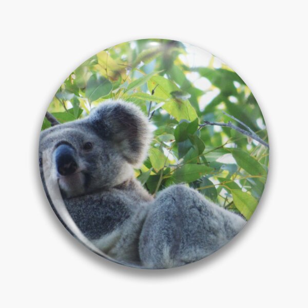 Item preview, Koala , in my own backyard,Gold Coast  designed and sold by ginnymac.
