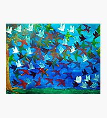 One Hundred Birds Photographic Print