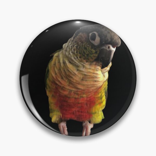 Item preview, Green Cheek Conure design | Conure | Small Parrot | Parakeet | Parrot lover designed and sold by TatianaLG.