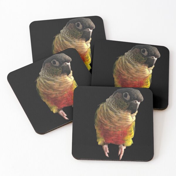 Item preview, Green Cheek Conure design | Conure | Small Parrot | Parakeet | Parrot lover designed and sold by TatianaLG.