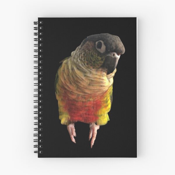 Item preview, Green Cheek Conure design | Conure | Small Parrot | Parakeet | Parrot lover designed and sold by TatianaLG.