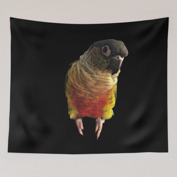 Item preview, Green Cheek Conure design | Conure | Small Parrot | Parakeet | Parrot lover designed and sold by TatianaLG.