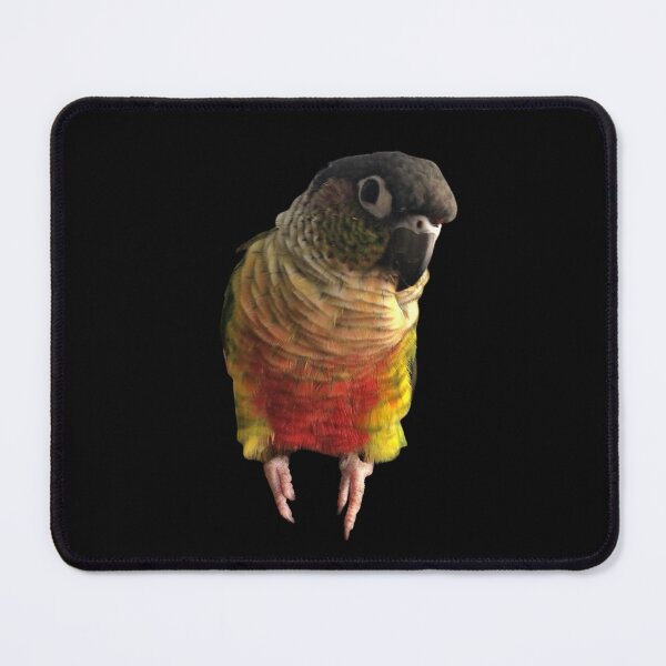 Item preview, Green Cheek Conure design | Conure | Small Parrot | Parakeet | Parrot lover designed and sold by TatianaLG.